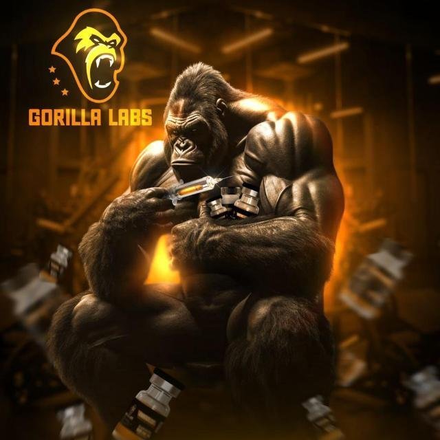 TREINO,DIETA,HIPERTROFIA.  🦏💉